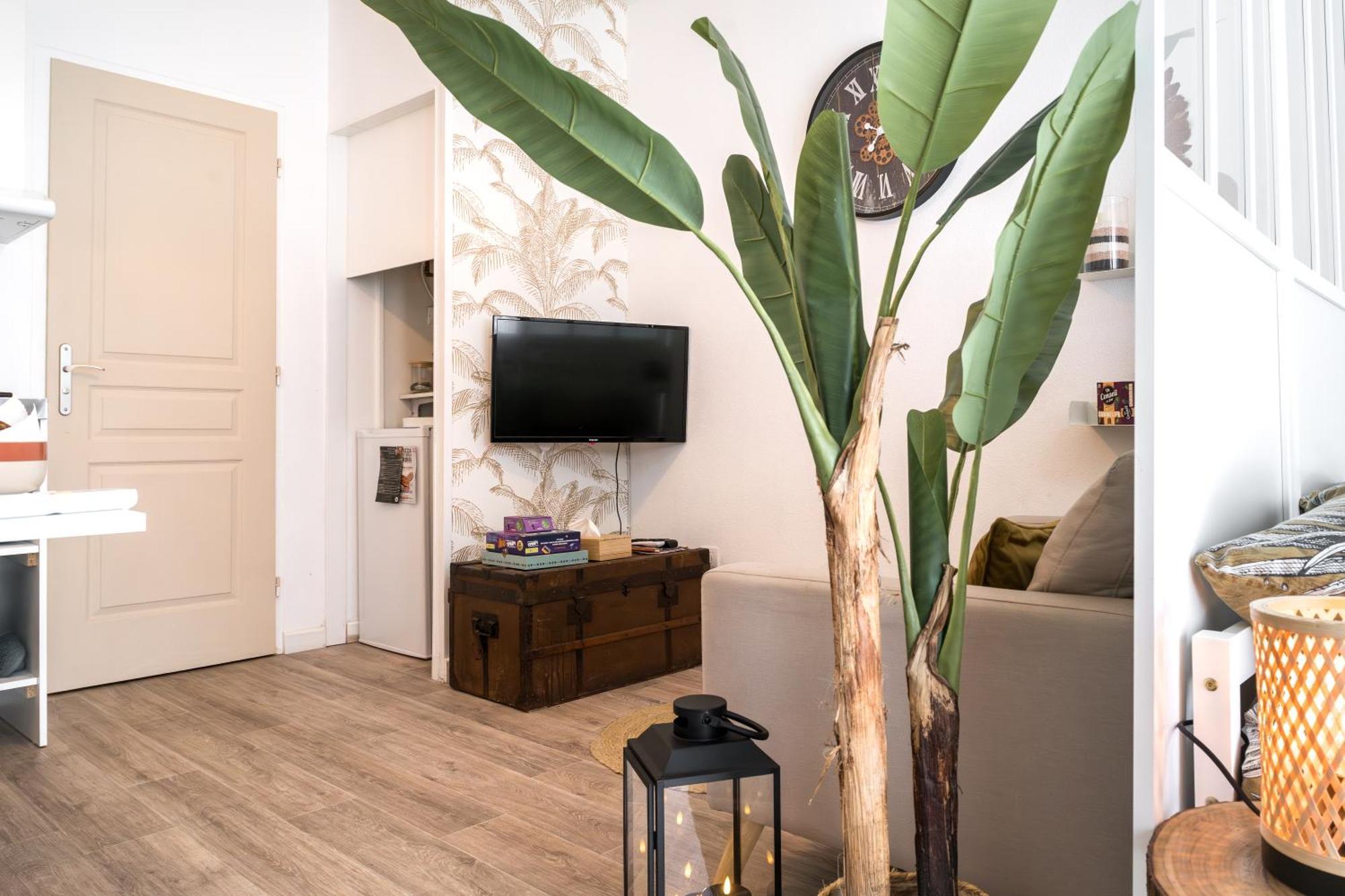 נרבון Le Boho Chic Studio Cosy מראה חיצוני תמונה